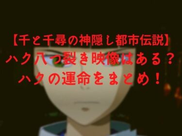 千と千尋の神隠し都市伝説 ハク八つ裂き映像はある ハクの運命をまとめ Nomakes